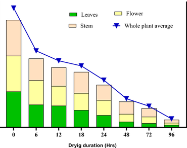 Effect of the desiccation process on the�essential oil recovery and quality of Ocimum gratissimum
