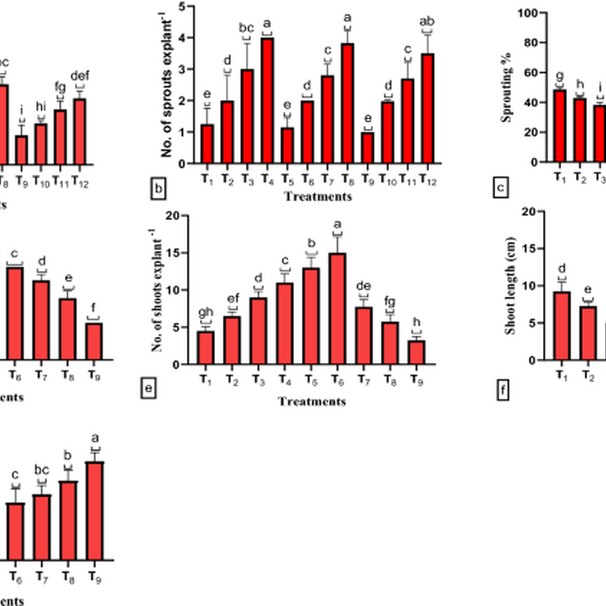 Cormel Example A high-efficiency 3-Step in vitro protocol for commercial cormel ...