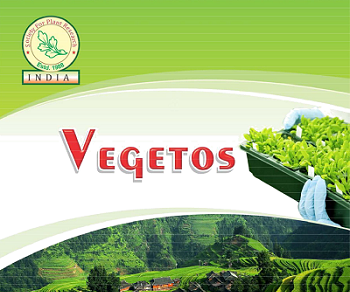 vegetos Volume 29, Issue Special,  2016